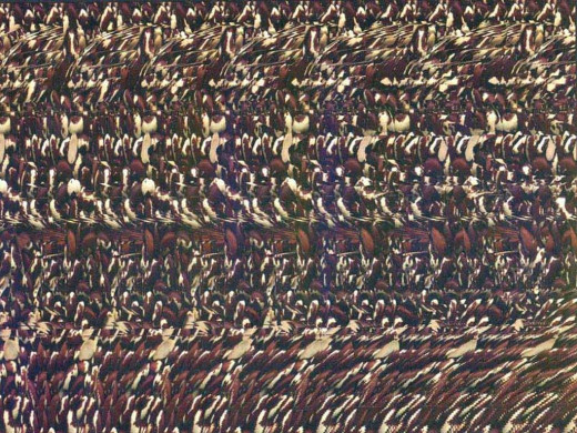 8608 (a): :1024x768